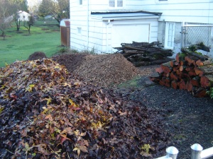 Leaves, firewood, wood chips, and pine needles to feed the soil